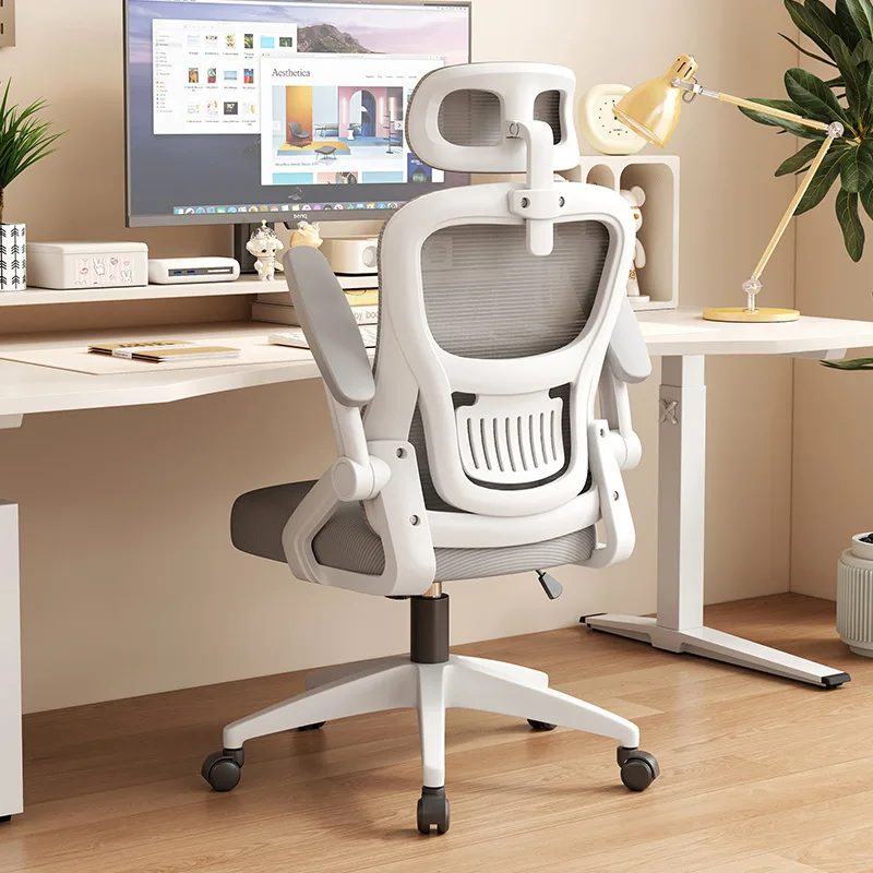 Ergonomic Office Chair Long Ho - Home Office Hours 리뷰 및 가격