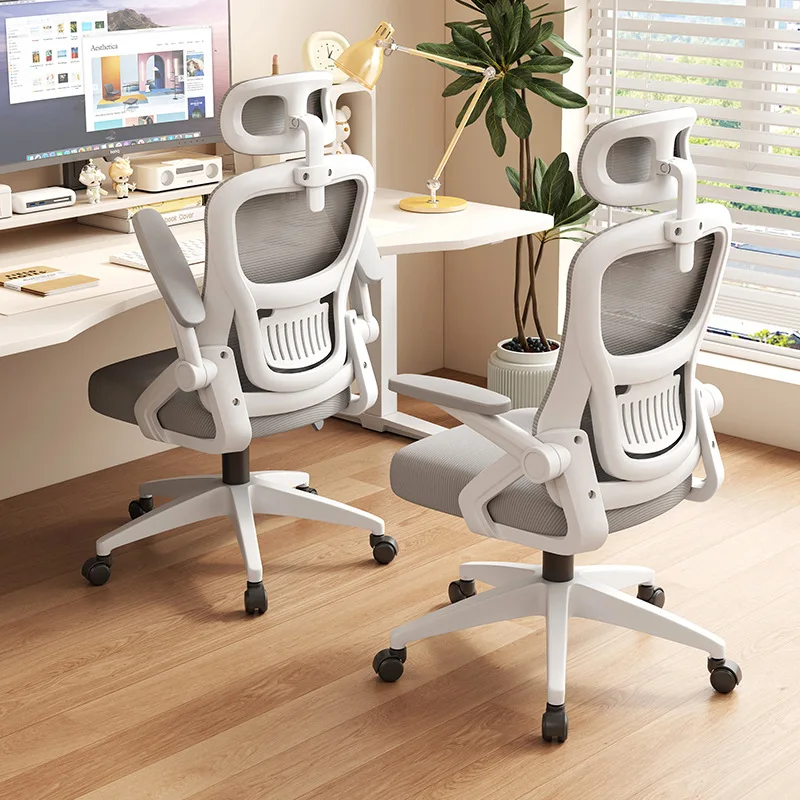 Ergonomic Office Chair Long Ho - Home Office Hours 리뷰 및 가격