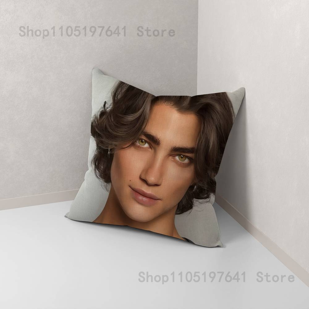 Romance Club Pillow Case For S - Home Office Romance 리뷰 및 가격